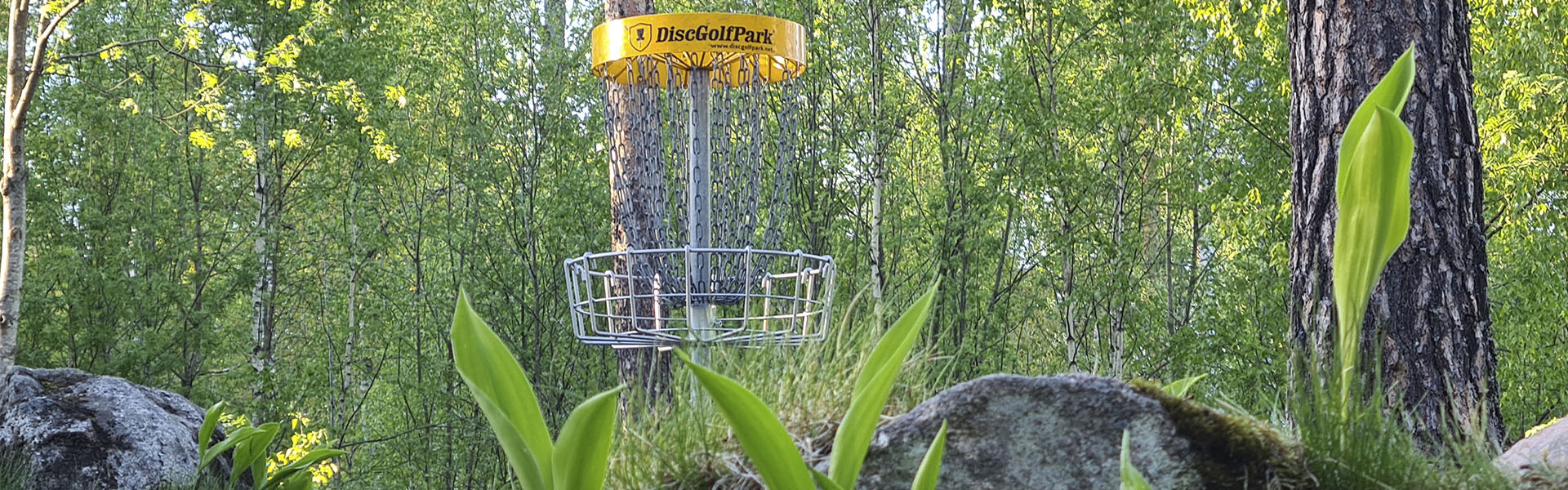 FGCK - Frisbeegolf Club Keinukallion metsäväylä